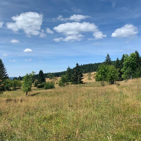 Ubytování u Matěje Horní Blatná Esterno foto