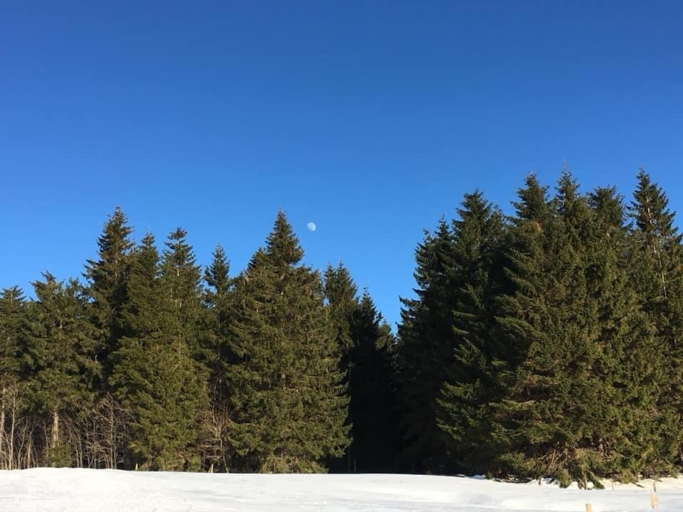 Ubytování u Matěje Horní Blatná Esterno foto