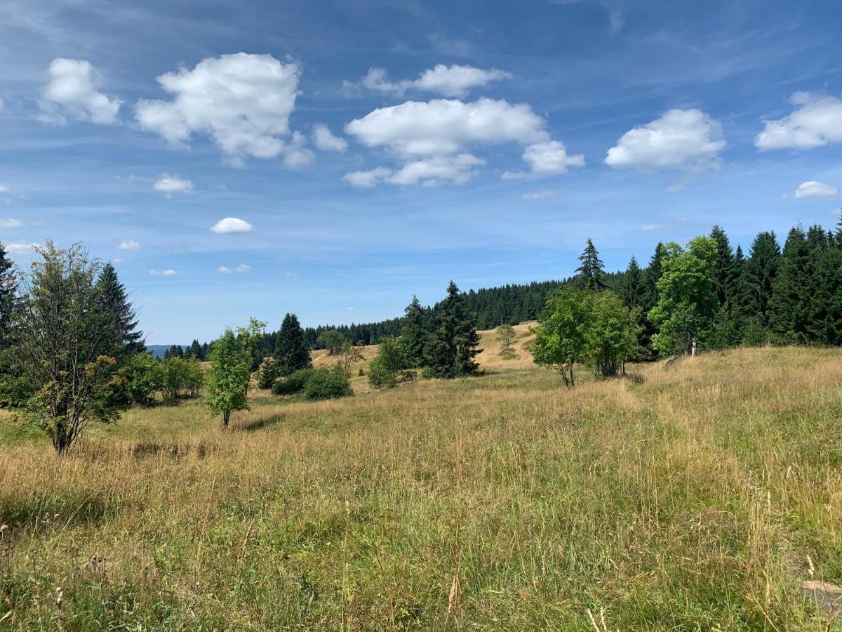 Ubytování u Matěje Horní Blatná Esterno foto