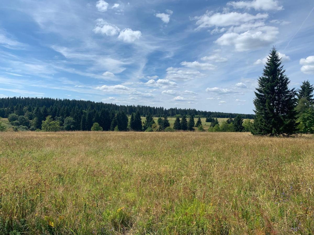 Ubytování u Matěje Horní Blatná Esterno foto
