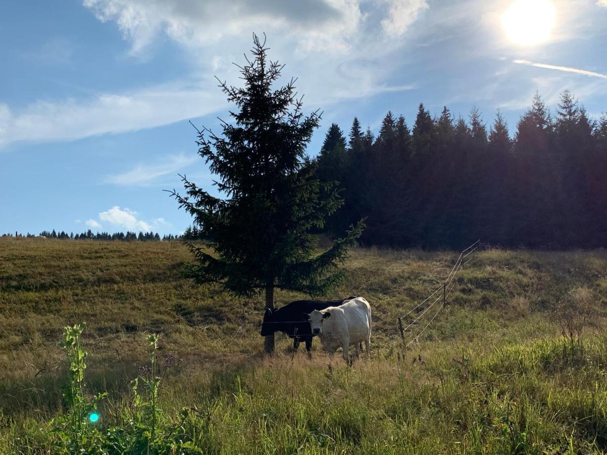 Ubytování u Matěje Horní Blatná Esterno foto