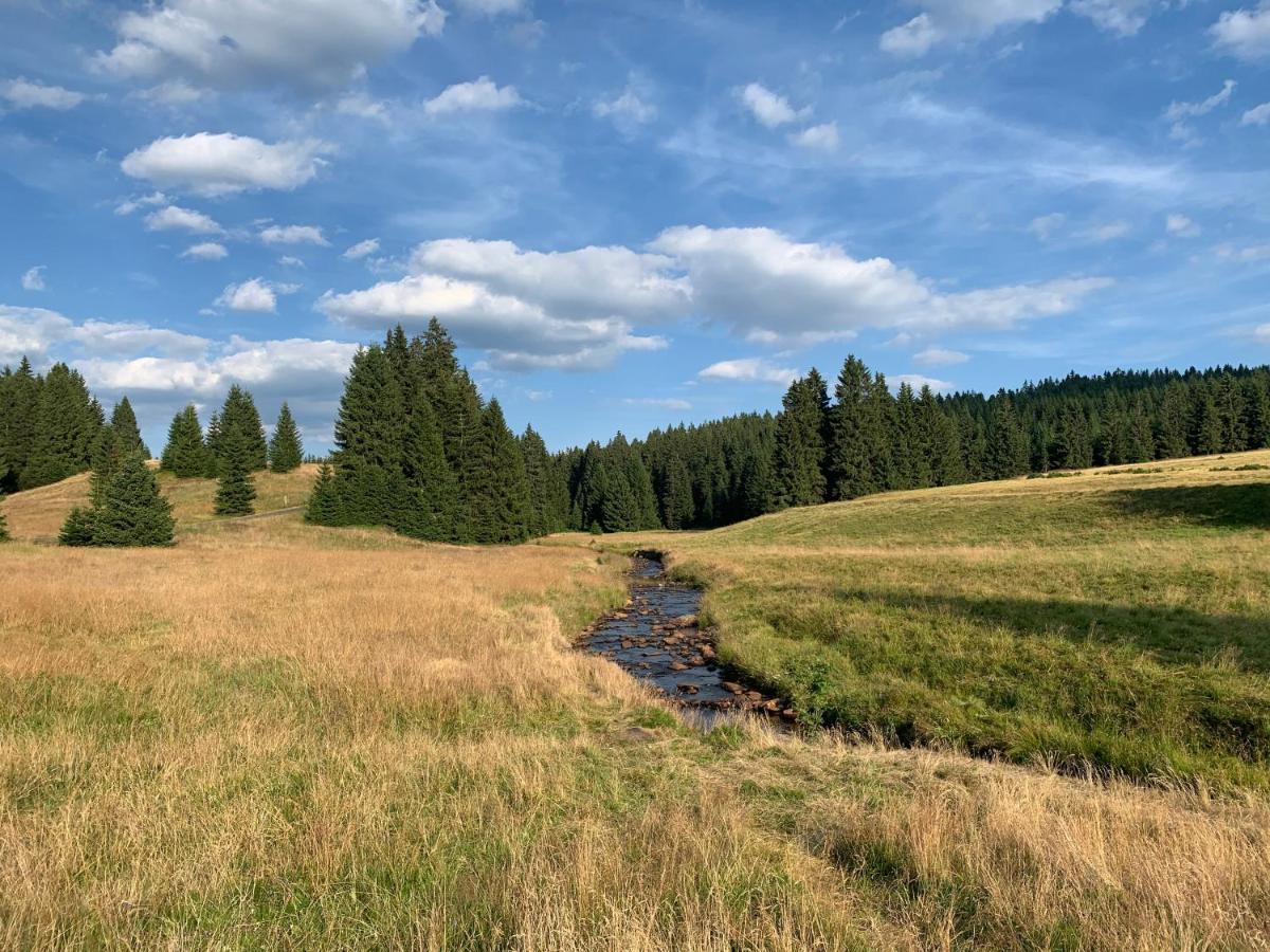 Ubytování u Matěje Horní Blatná Esterno foto
