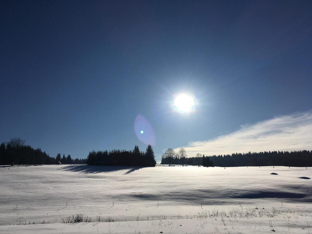 Ubytování u Matěje Horní Blatná Esterno foto