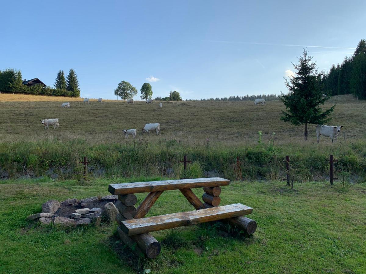 Ubytování u Matěje Horní Blatná Esterno foto